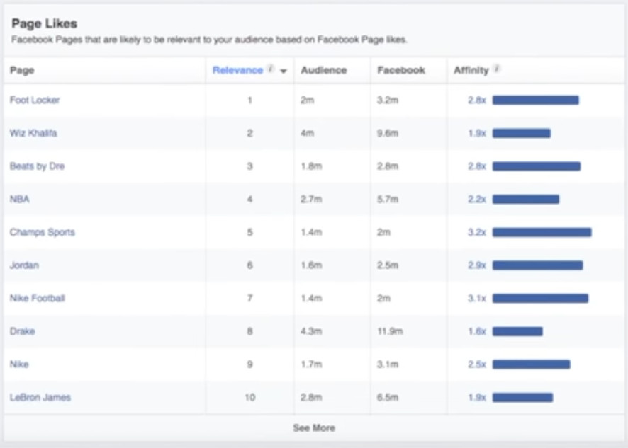 Page Likes on Facebook Audience Insights