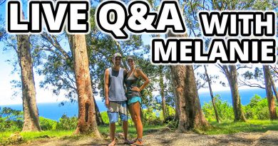 Live Q&A With Melanie - How To Go From ZERO to 100,000 Subscribers on YouTube!