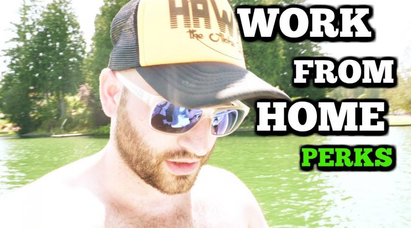 Why Working From Home Is The BEST JOB EVER!