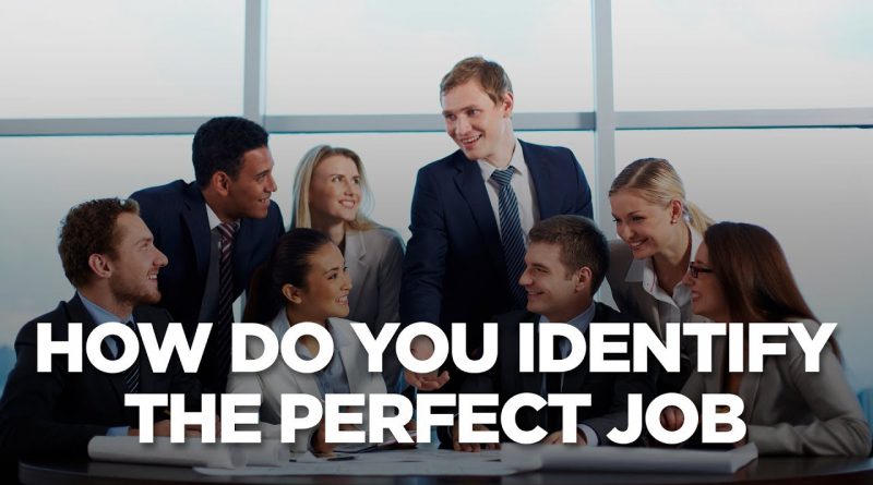 How Do You Identify the Perfect Job | Young Hustlers