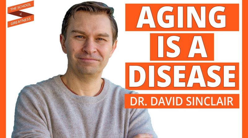 Live A Longer Life and Reverse Aging | David Sinclair and Lewis Howes