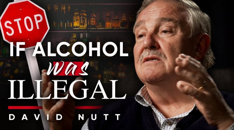 BANNING ALCOHOL: What Would Happen If Drinking Was Illegal? | David Nutt On London Real