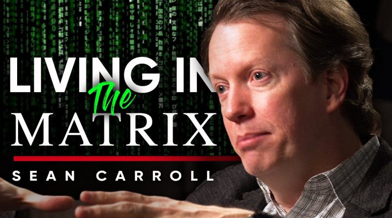 LIVING IN THE MATRIX: Will It Ever Be Possible To Create A Simulation? | Sean Carroll On London Real