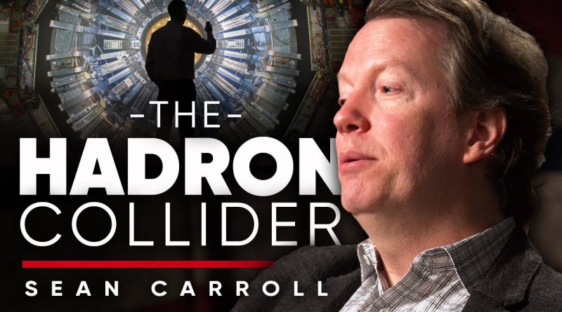 THE LARGE HADRON COLLIDER: The Power Of Understanding The World | Sean Carroll On London Real