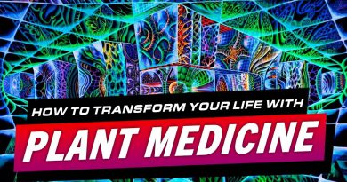 #ThankYouPlantMedicine How To Transform Your Life With Psychedelics & Ayahuasca