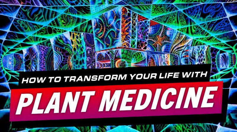 #ThankYouPlantMedicine How To Transform Your Life With Psychedelics & Ayahuasca