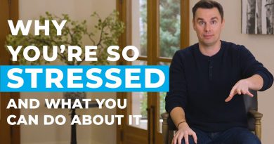 Why You're So Stressed (And What You Can Do About It)