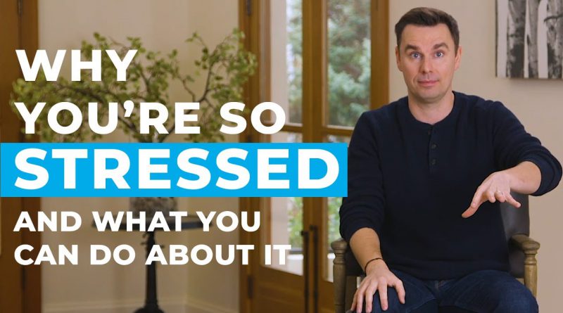 Why You're So Stressed (And What You Can Do About It)