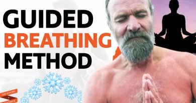 GUIDED Wim Hof Breathing Tutorial For STRESS & ANXIETY (Do This Everyday)| Lewis Howes