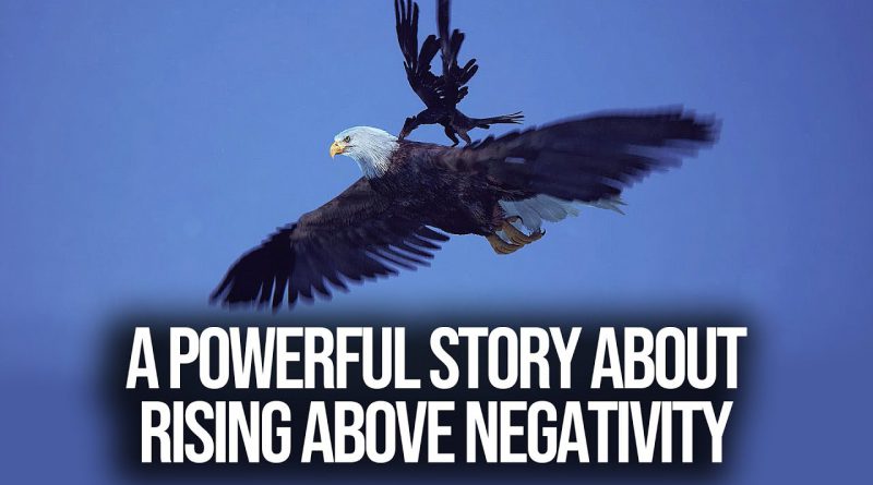 A Powerful Story About Rising Above Negativity (THE EAGLE and CROW)