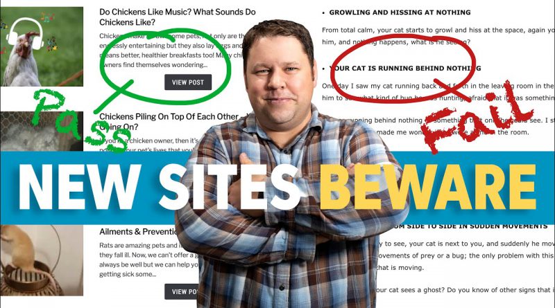 VITAL Insights for BRAND NEW Blogs (10 Sites Reviewed)