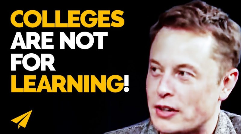 You Don't NEED a DEGREE to Be SUCCESSFUL! | Elon Musk | Top 10 Rules